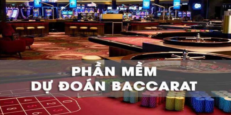 Đôi nét về phần mềm dự đoán baccarat